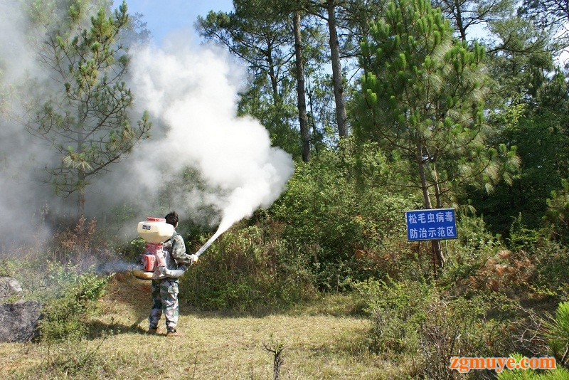 生物防治森林病虫害