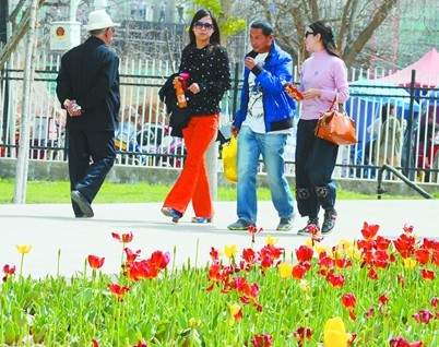 游客在兰州植物园欣赏郁金香