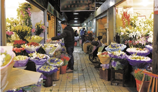 杭州凤起路花鸟市场生意冷